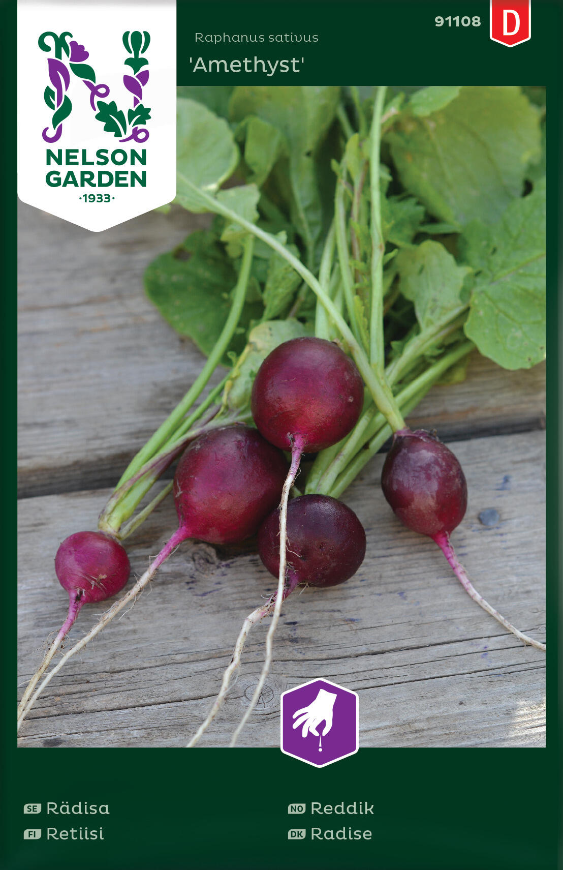 Månedsreddik 'Amethyst'